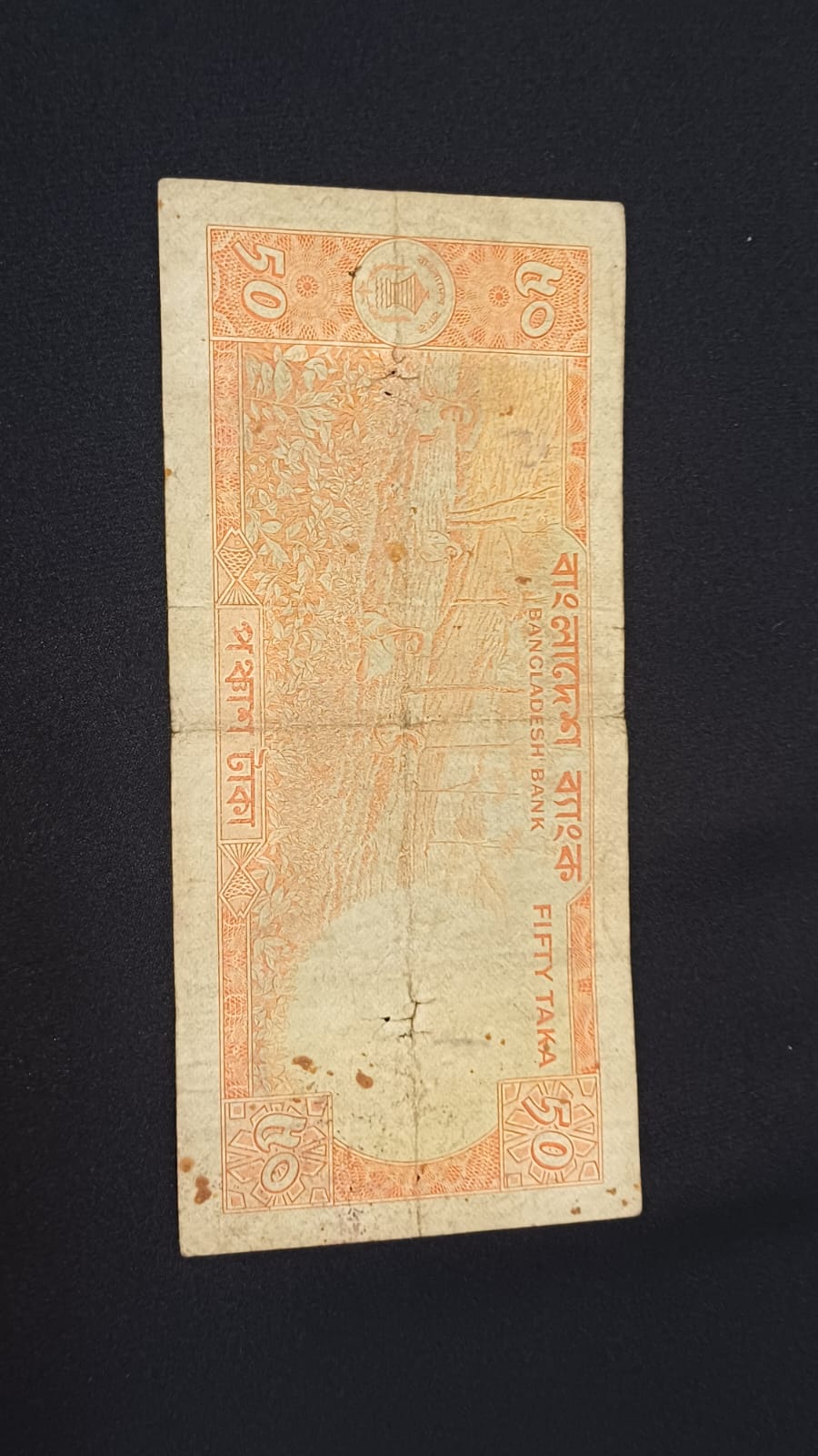 পেছনের ছবি