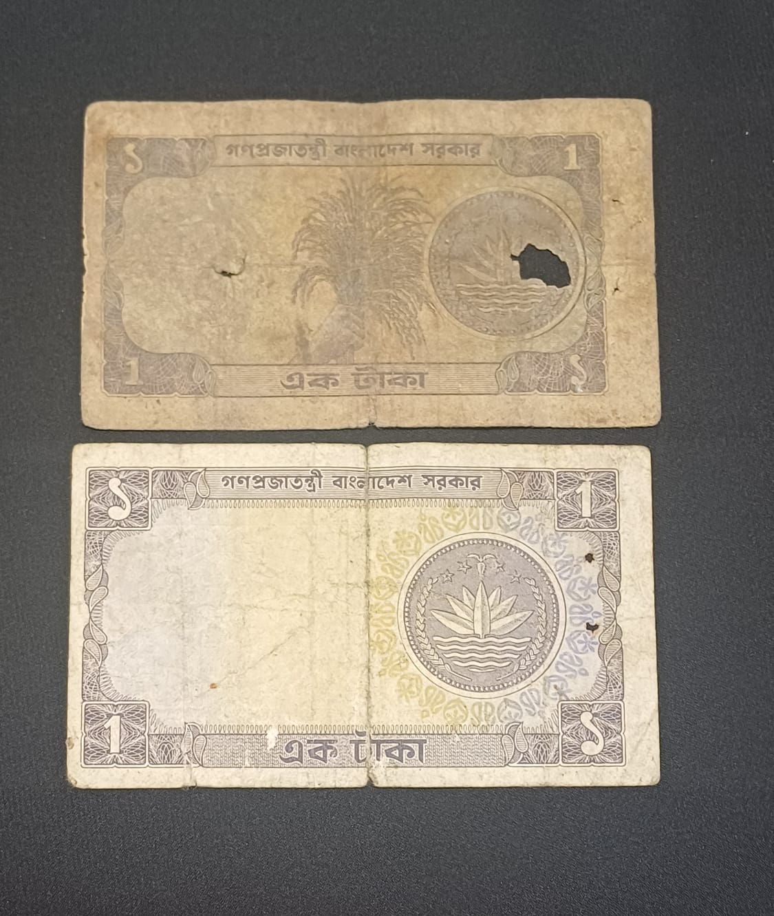 পেছনের ছবি