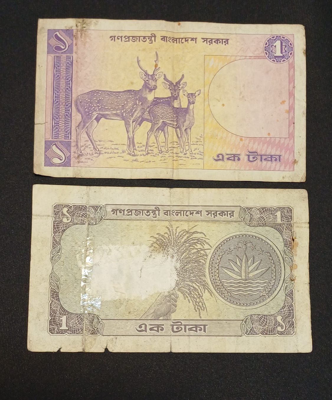 পেছনের ছবি