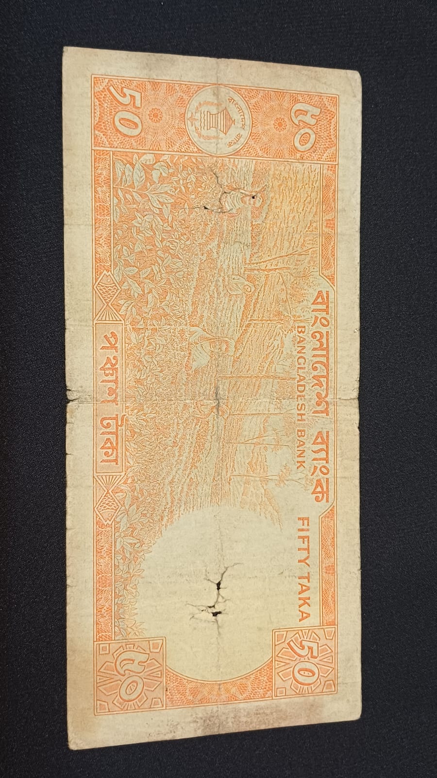 পেছনের ছবি