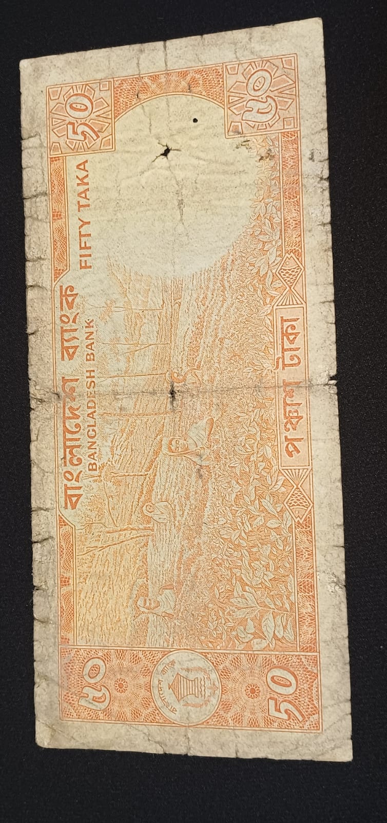 পেছনের ছবি