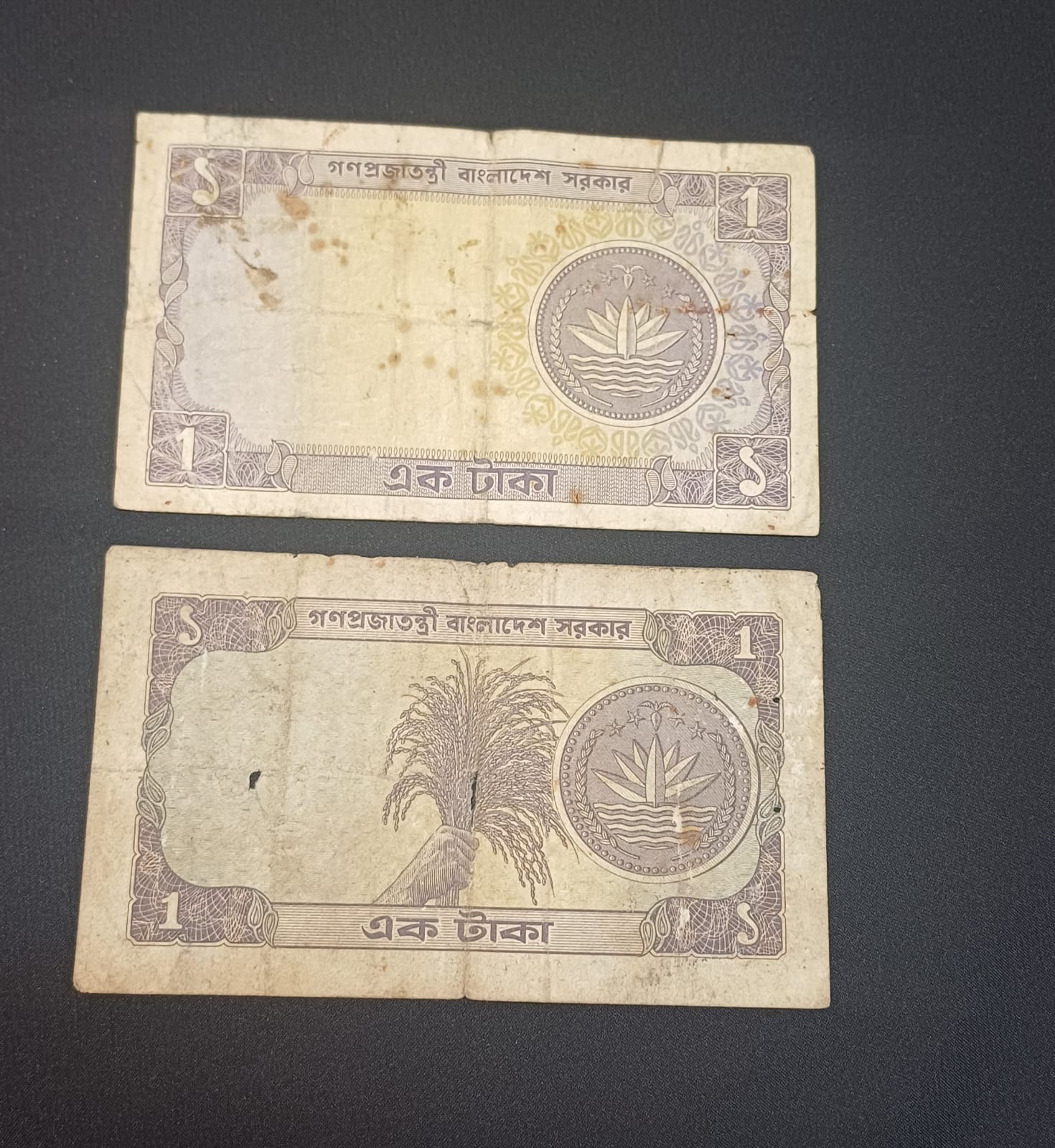 পেছনের ছবি