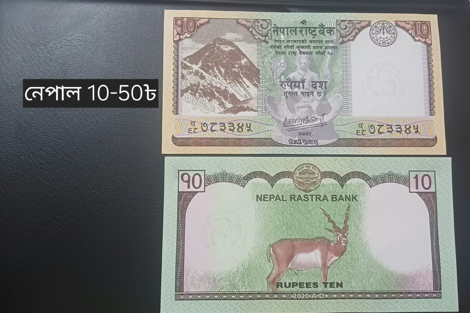 নেপালি ১০ রুপি