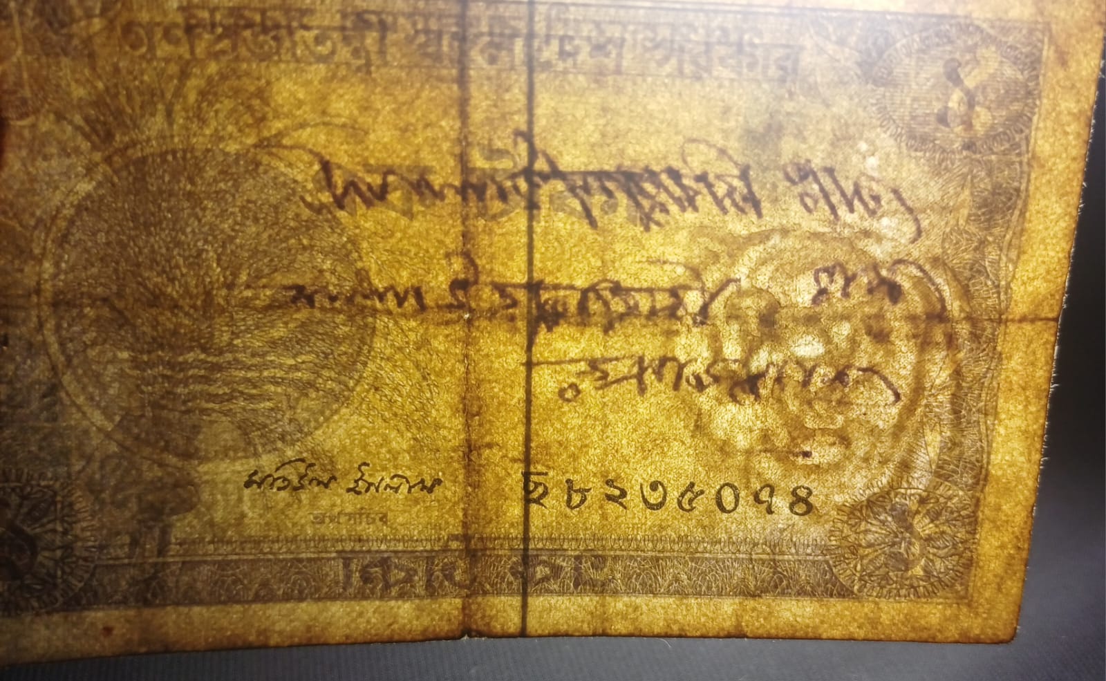 পেছনের ছবি