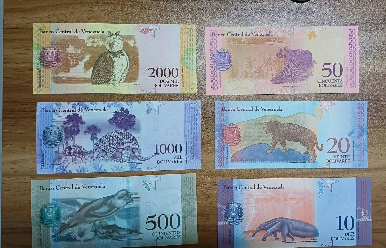 পেছনের ছবি