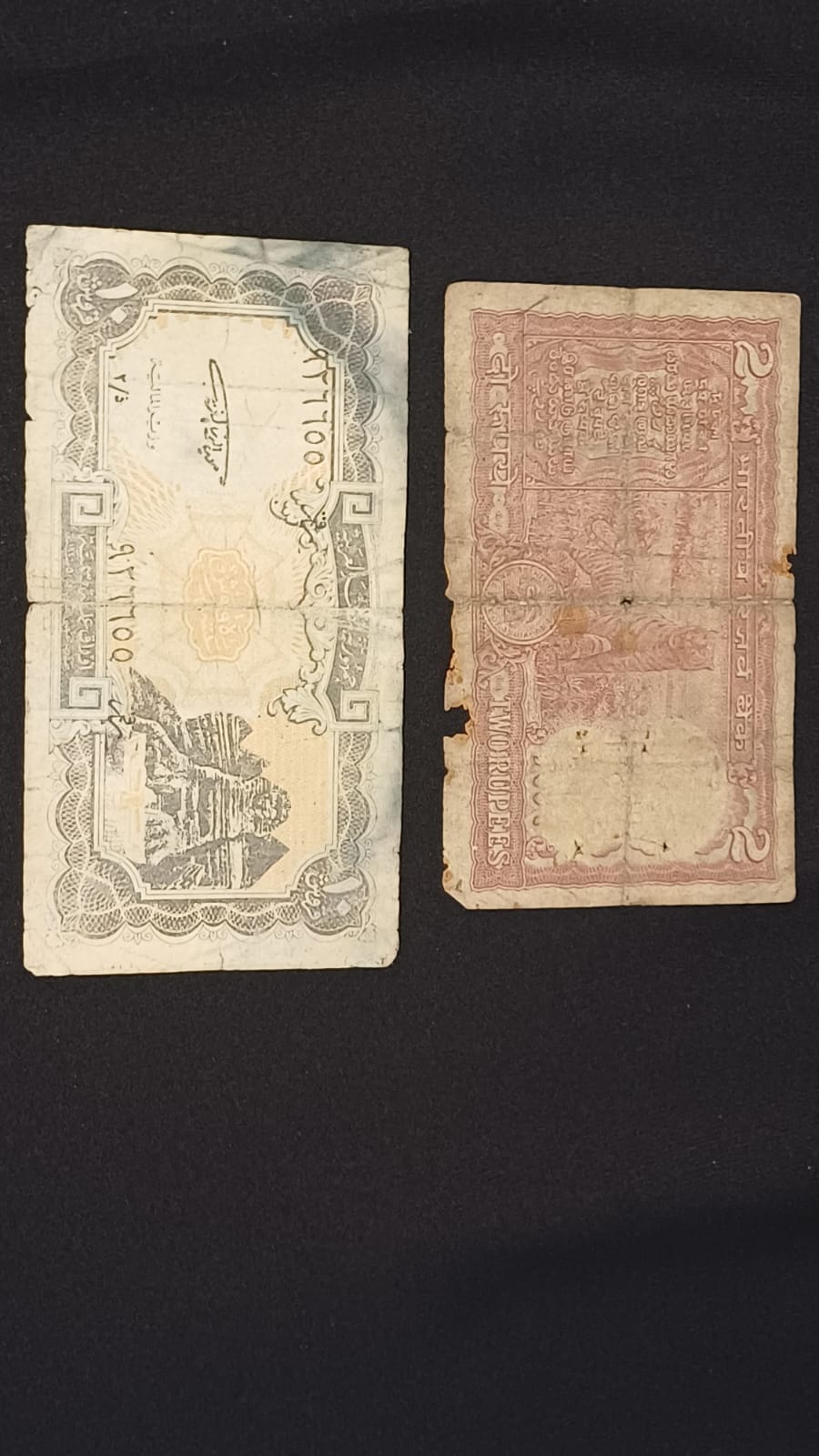 পেছনের ছবি